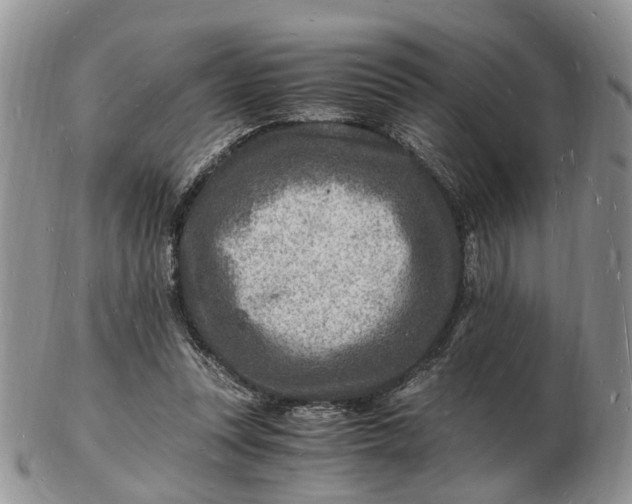 X0000102780351200809021057