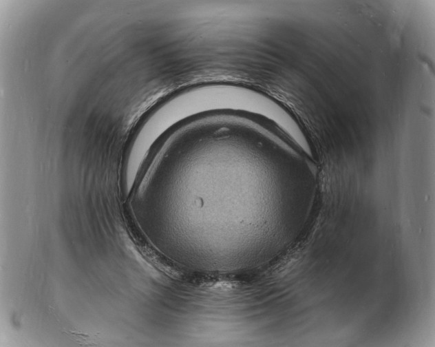 X0000102780352200809021057