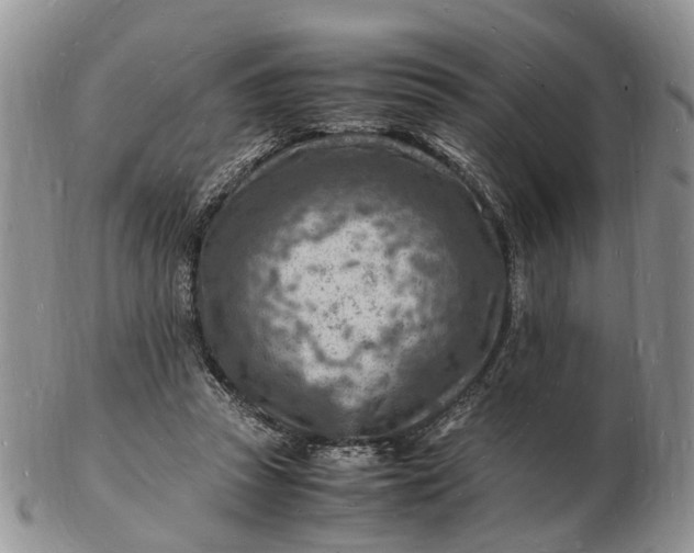 X0000102780353200809021057