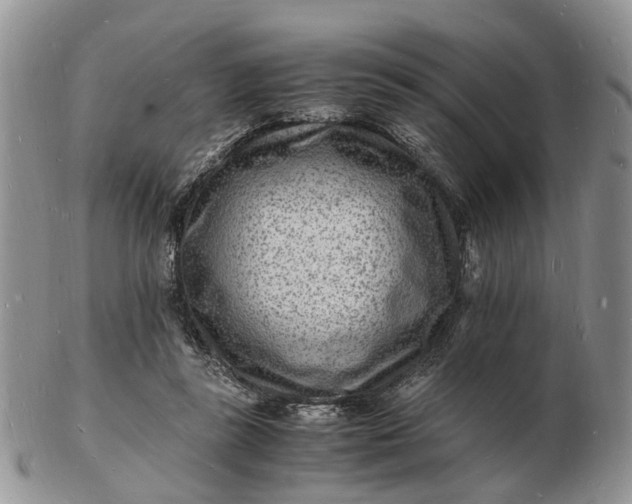 X0000102780355200809021057