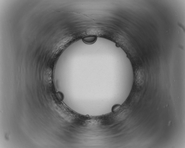 X0000102780356200809021057