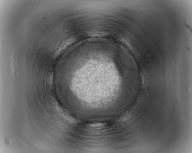 X0000102780357200809021057