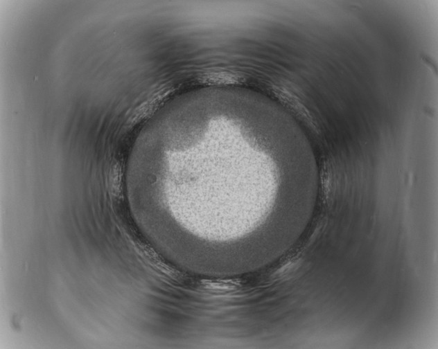 X0000102780359200809021057