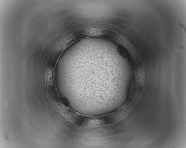 X0000102780360200809021057