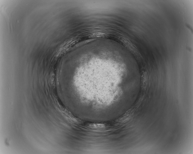 X0000102780361200809021057