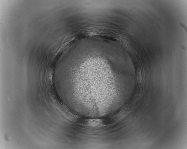 X0000102780363200809021057