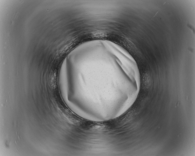 X0000102780364200809021057