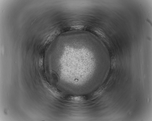 X0000102780365200809021057