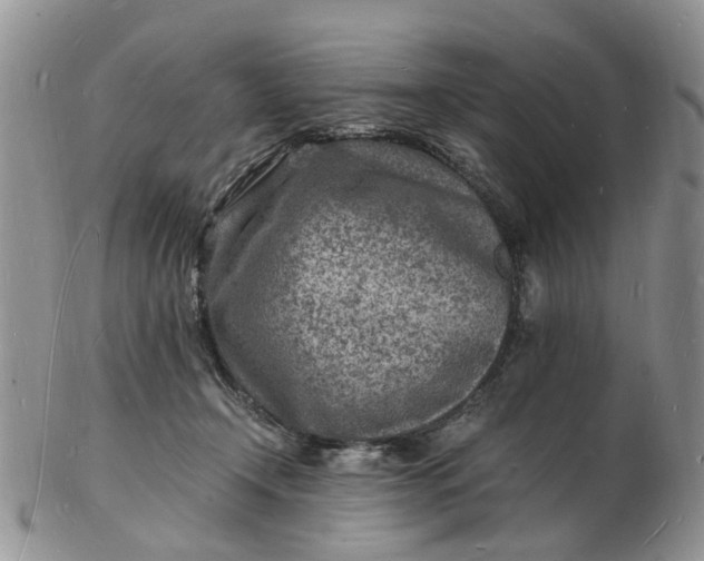 X0000102780366200809021057