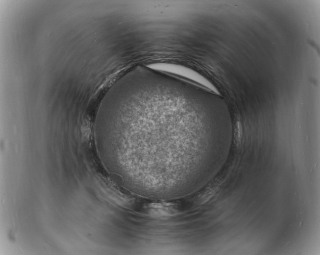 X0000102780367200809021057