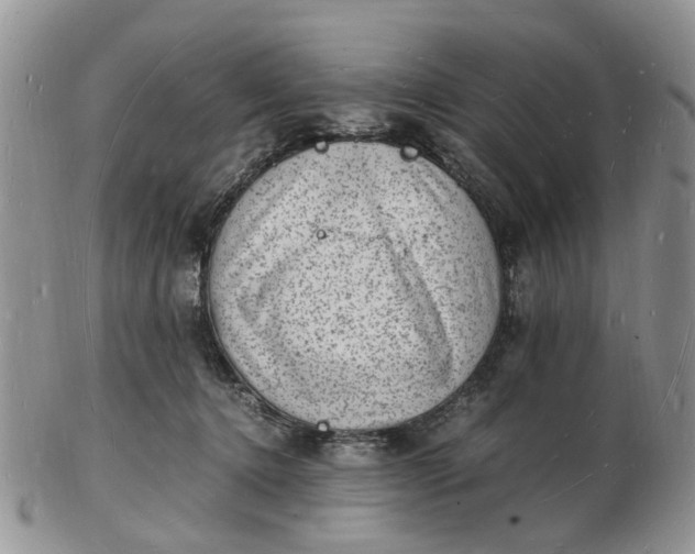 X0000102780368200809021057