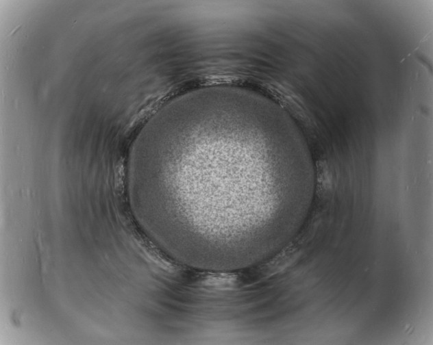 X0000102780369200809021057