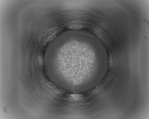 X0000102780371200809021057