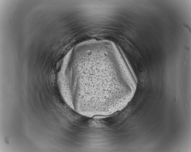 X0000102780372200809021058