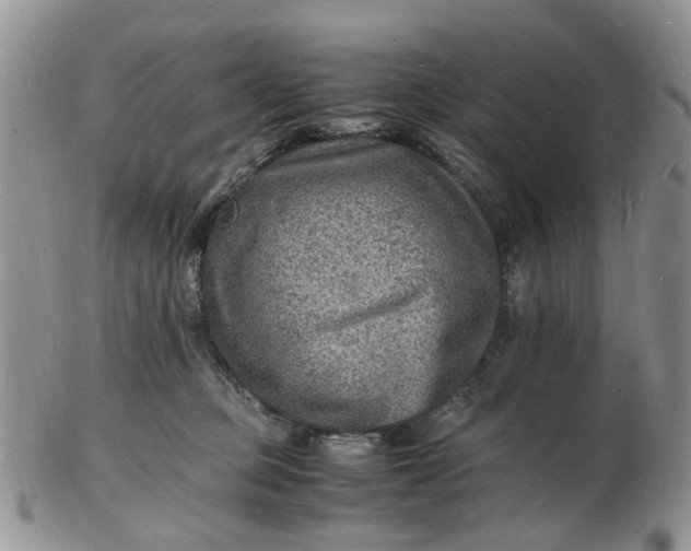 X0000102780373200809021058