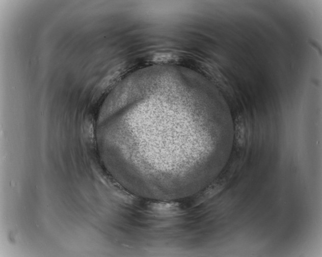 X0000102780375200809021058