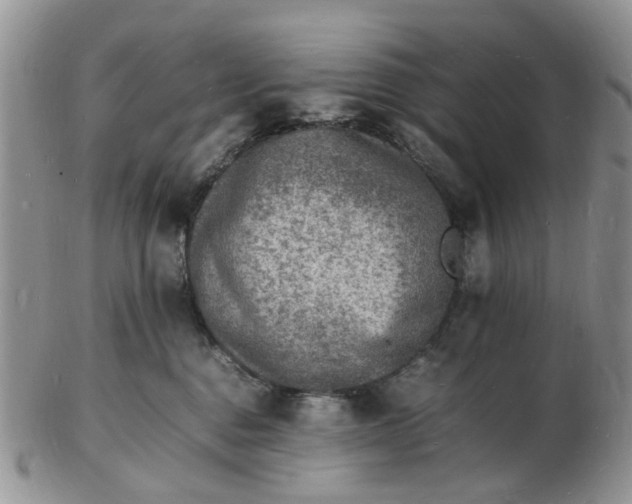 X0000102780376200809021058