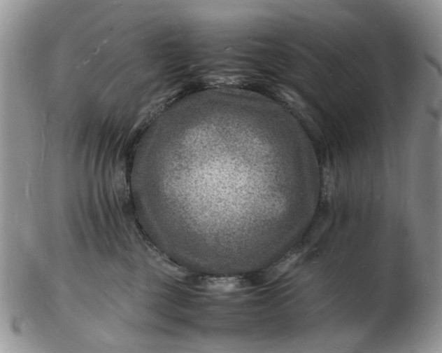 X0000102780377200809021058