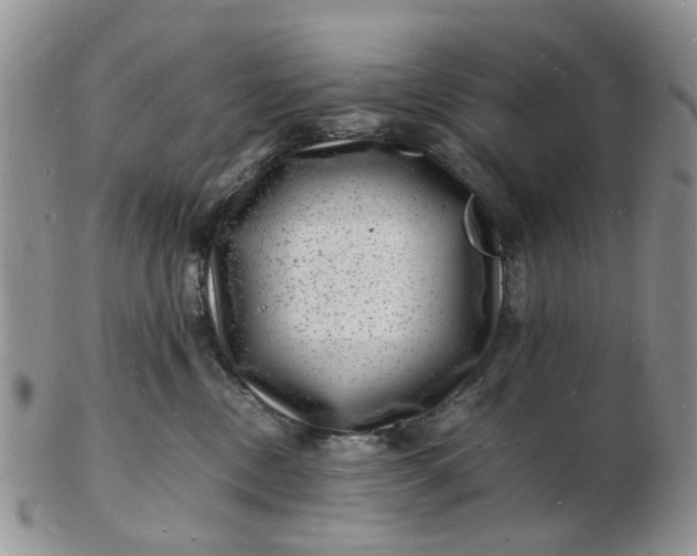 X0000102780378200809021058