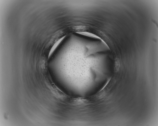 X0000102780379200809021058