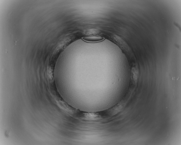 X0000102780380200809021058