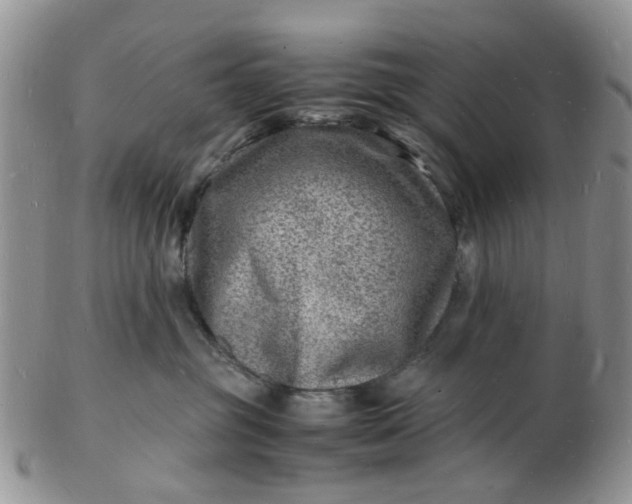 X0000102780381200809021058