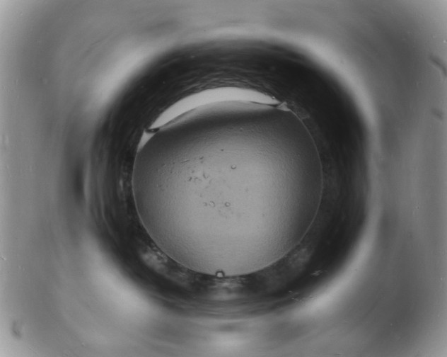 X0000102780382200809021058