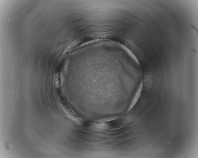 X0000102780383200809021058