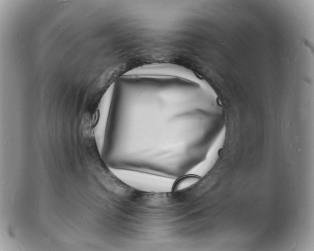 X0000102780384200809021058