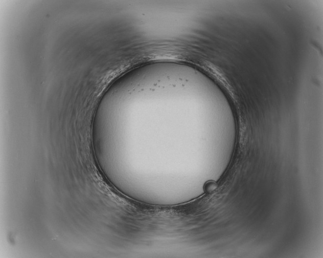 X0000102780385200809021057