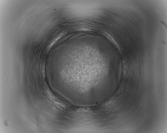 X0000102780386200809021057