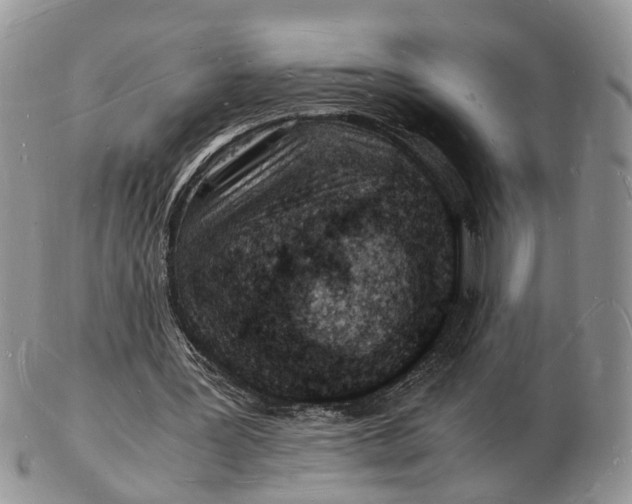 X0000102780387200809021057