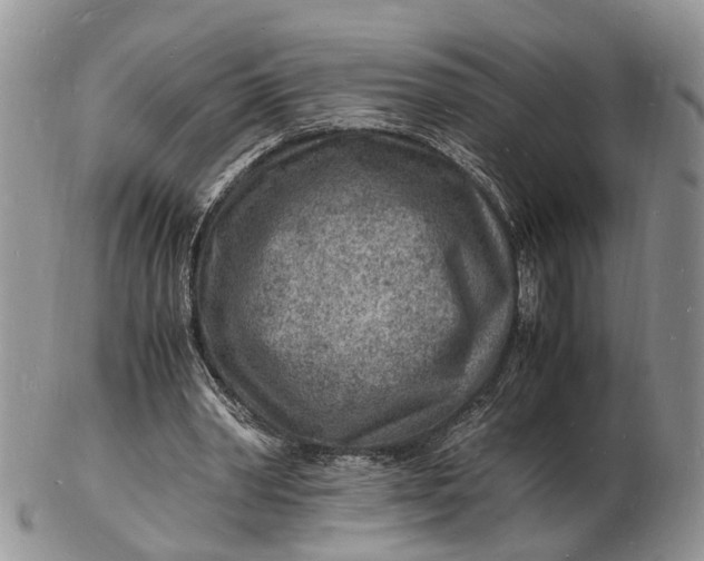 X0000102780390200809021057