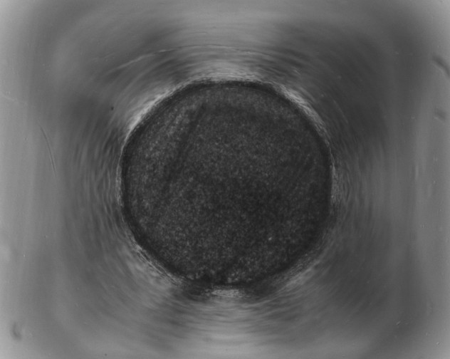 X0000102780391200809021057