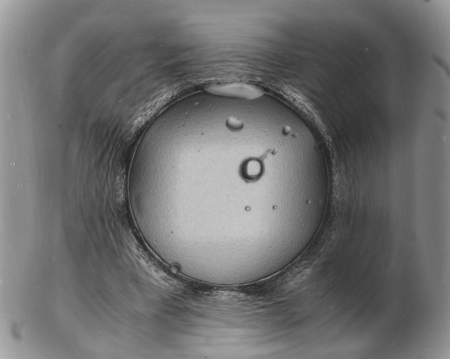 X0000102780393200809021057