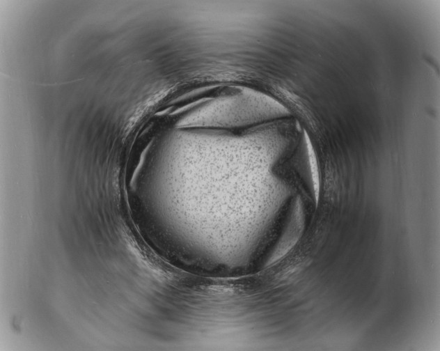 X0000102780394200809021057