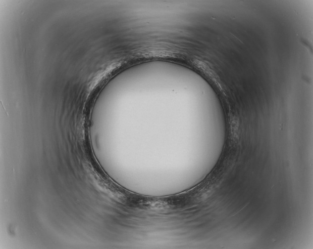 X0000102780395200809021057