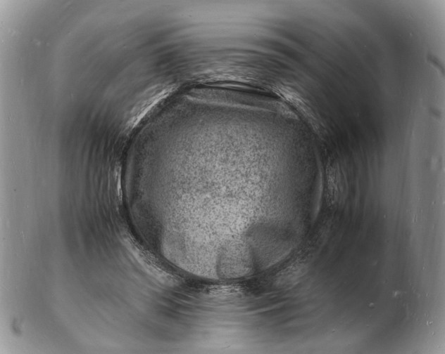 X0000102780398200809021057