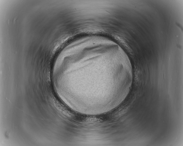 X0000102780399200809021057