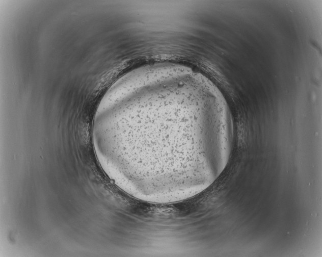 X0000102780401200809021057