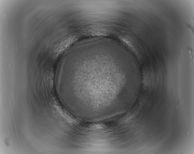 X0000102780402200809021057