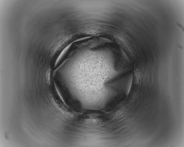 X0000102780404200809021057