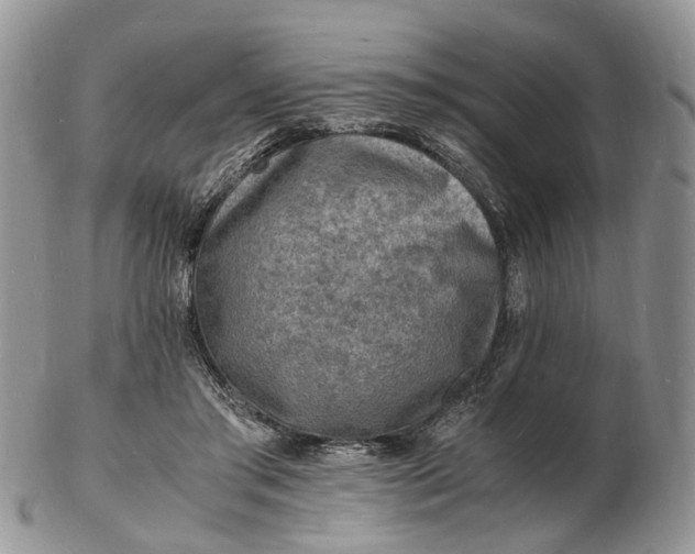 X0000102780405200809021057