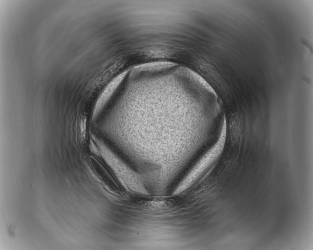 X0000102780406200809021057