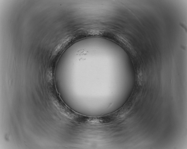 X0000102780407200809021057