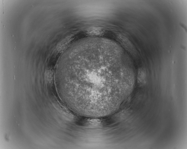 X0000102780409200809021057