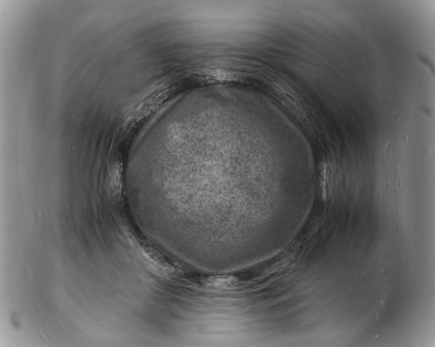 X0000102780410200809021057