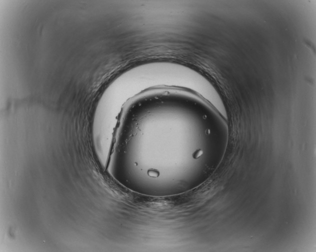 X0000102780411200809021057