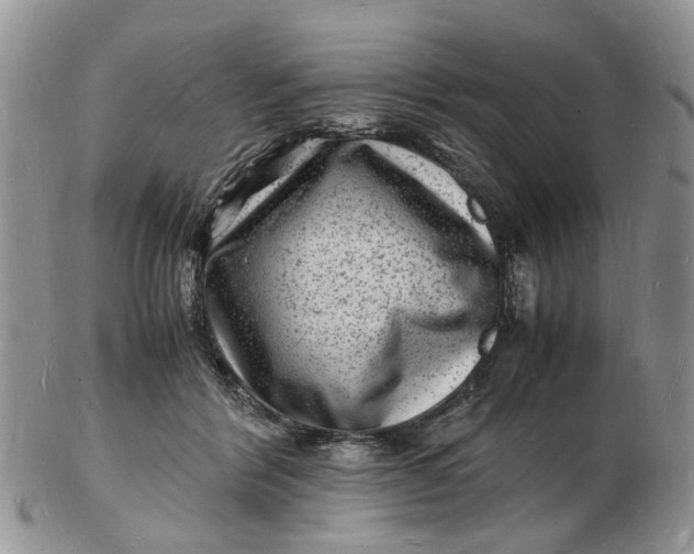 X0000102780412200809021057