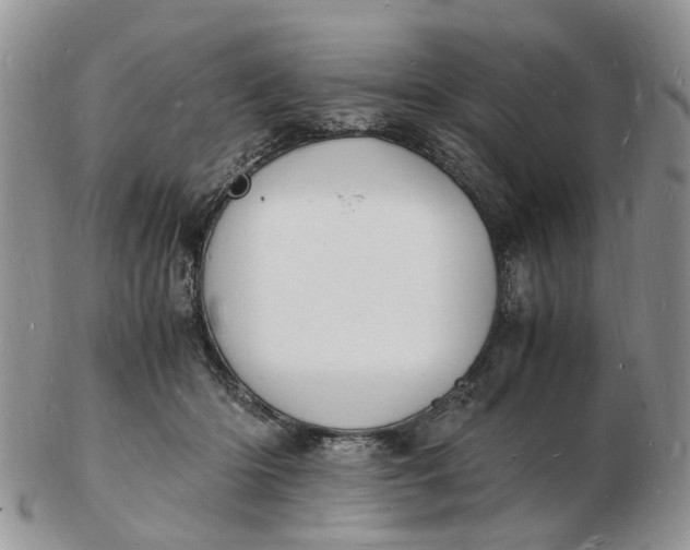 X0000102780414200809021057